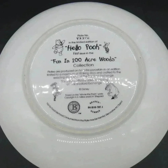 Vintage Disney Winnie The Pooh Collectable Plates Fun in the 100 Acre Woods - Picture 5 of 6